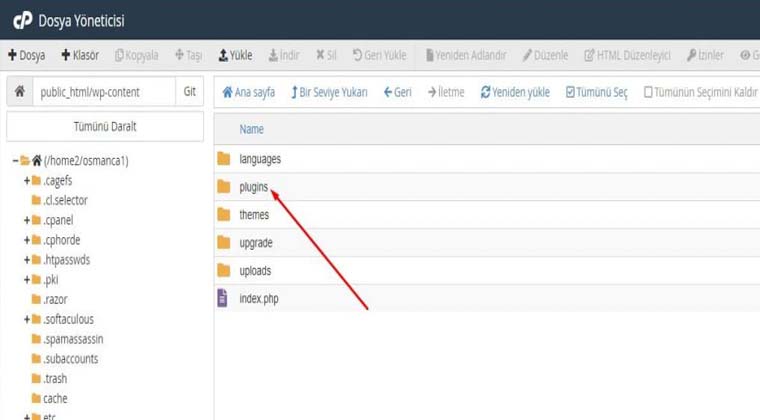 WordPress Admin Paneline Giriş Sorunu ve Çözümü