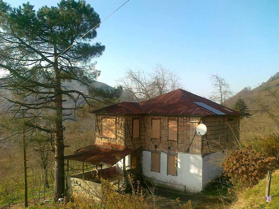 foto galeri