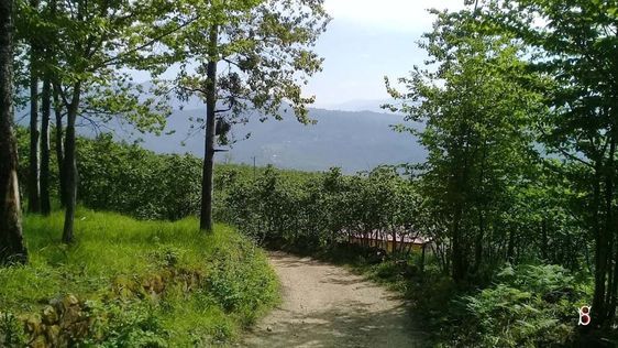 Eriklik Köyünden Manzara Resimleri