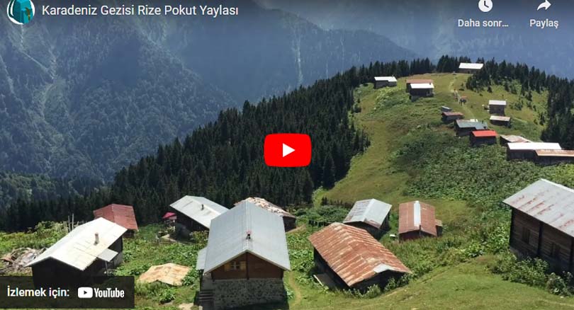 Karadeniz Gezisi Rize Pokut Yaylası