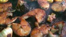 Granit Üzerinde Palamut Izgara