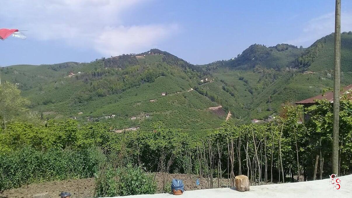 Yaslıbahçe Köyünden Eriklik Köyü