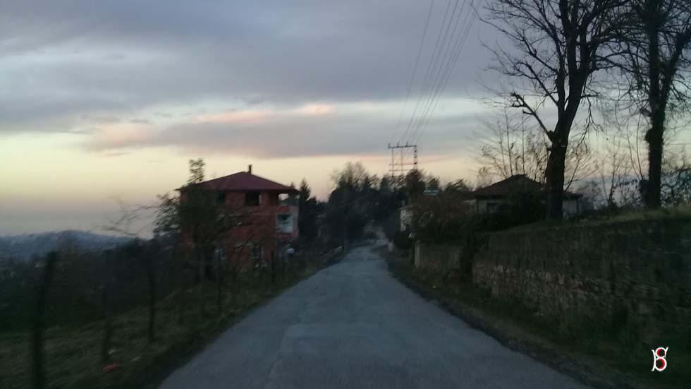 foto galeri