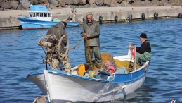 Giresun’da Geleneksel Kıyı Balıkçılarına Destekleme Ödemesi Yapıldı