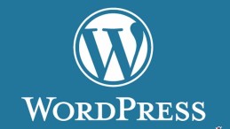 WordPress Site Admin Yolu Değiştirme (Eklentisiz)
