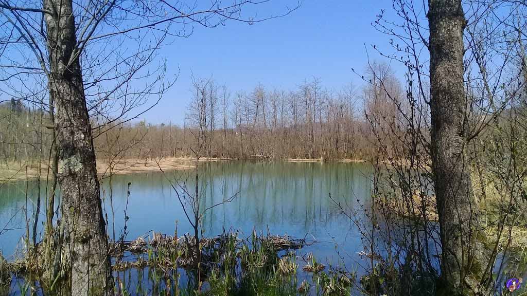 Kuşluhan Köyü Ördek Gölü Gerçek Hikayesi