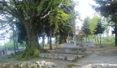 Dokuz Oğul Eriklik Köyü