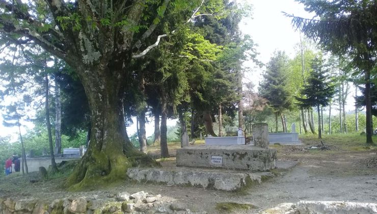 Dokuz Oğul Eriklik Köyü