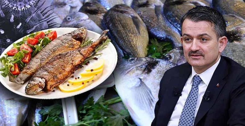 Kovid-19’a karşı sağlıklı beslenmek için balık tüketin