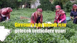 Giresun’a çay hasadı için gelecek üreticilere uyarı