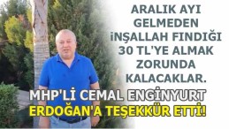 MHP’li Enginyurt’dan Erdoğan’a Fındık Teşekkürü