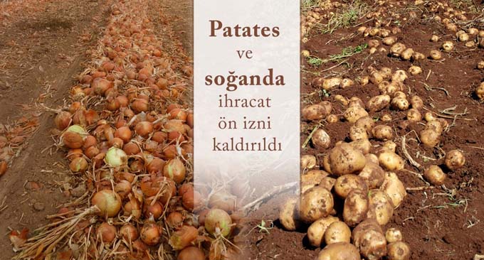 Patates ve soğanda ihracat ön izni kaldırıldı…