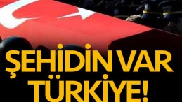 Şehidin Var Türkiye!