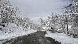 Kar Nedeniyle Kapanan 180 Köyün Yolu Ulaşıma Açıldı!