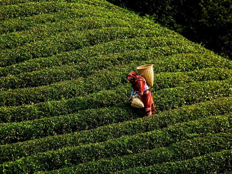 foto galeri