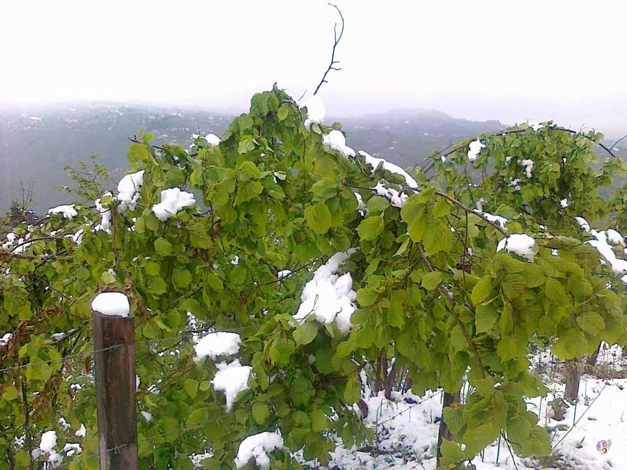 Karadeniz Resim Galerisi