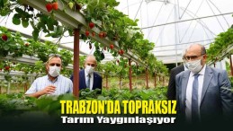 Trabzon’da Topraksız Tarım Yaygınlaşıyor