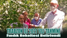Trabzon İli 2021 Yılı Tahmini Fındık Rekoltesi Belirlendi