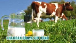 1 Haziran Dünya Süt Günü