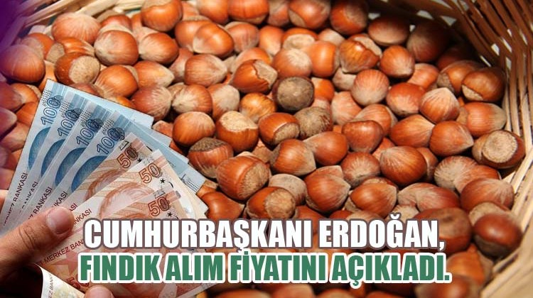 Cumhurbaşkanı Erdoğan, Fındık Alım Fiyatını Açıkladı.