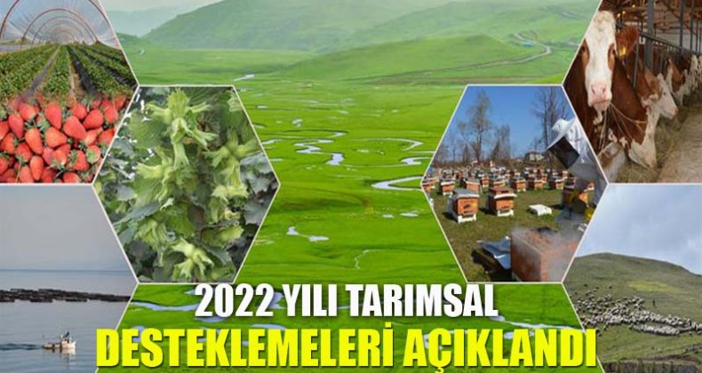 2022 Yılı Tarımsal Desteklemeleri Açıklandı