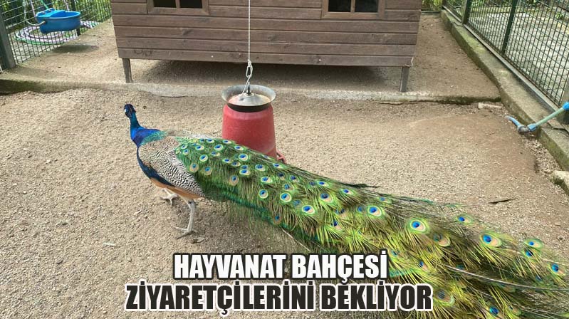 Hayvanat Bahçesi Ziyaretçilerini Bekliyor
