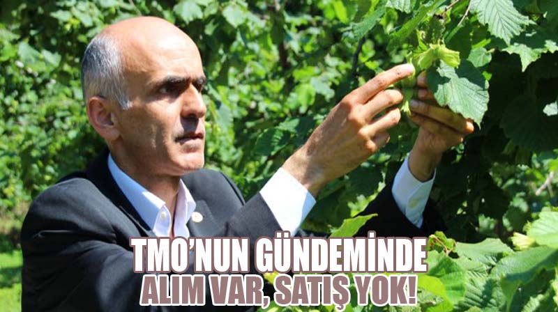 TMO’nun gündeminde alım var, satış yok