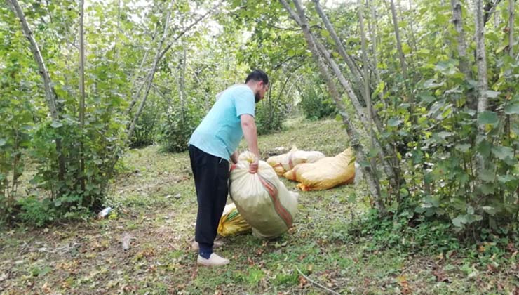 Ordu’da 2025 Fındık işçisi yevmiyesi belli oldu
