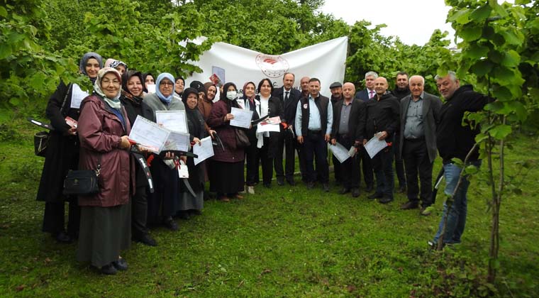 Çiftçilerimize Uygulamalı Fındık Budama Kursu Verildi