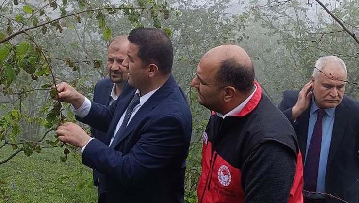 Don Zararı İle İlgili Yapılan Çalışmalar Yerinde İncelendi