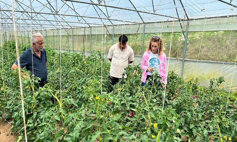 Örtüaltı Entegre ve Kontrollü Ürün Yönetimi Çalışmaları Devam Ediyor