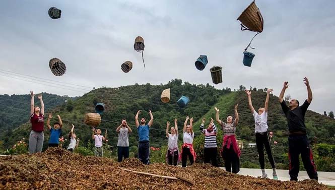 Fındık Fiyatlarında Dalgalanma Sürüyor
