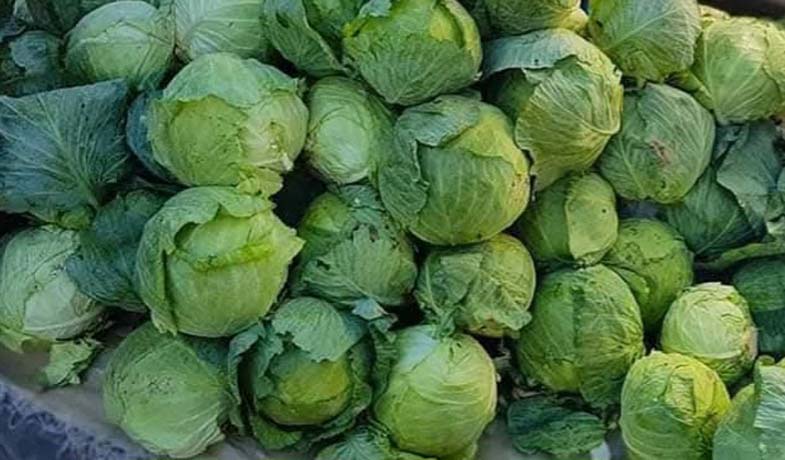 Alucra Kelemi Tescil Edilmeli