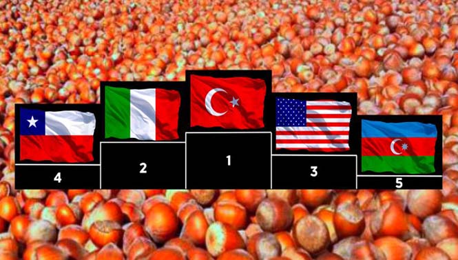 Fındık Üretiminde Lider Ülke, Türkiye…