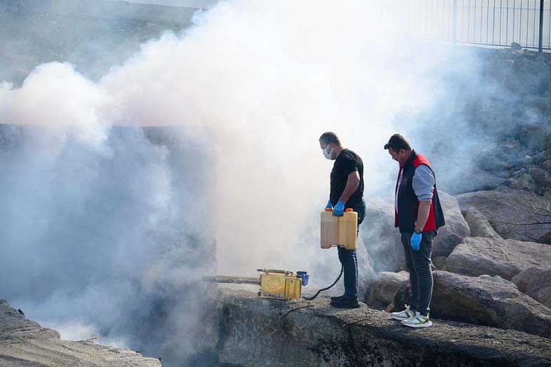 Giresun Sahil Bölgesinde İlaçlama Yapılıyor