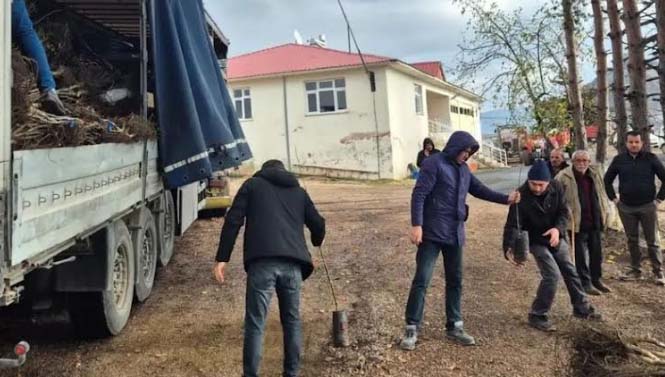 Alucra Neden Ceviz–Badem Projesinin Dışında Kaldı?