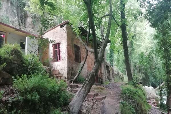 Doktorun Yeri Erdemli Mersin