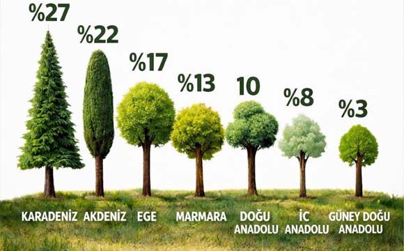 Türkiye’nin En Yeşili, Karadeniz Bölgesi