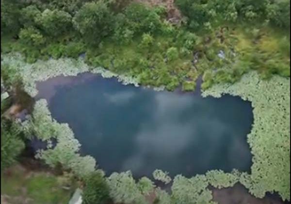 Ördek Gölü Kuşluhan Köyü Bulancak