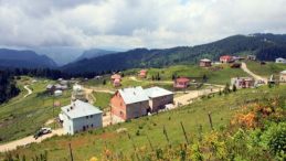 Paşakonağı Yaylası Bulancak