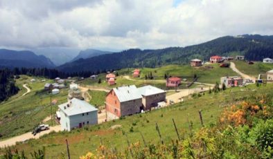 Paşakonağı Yaylası Bulancak