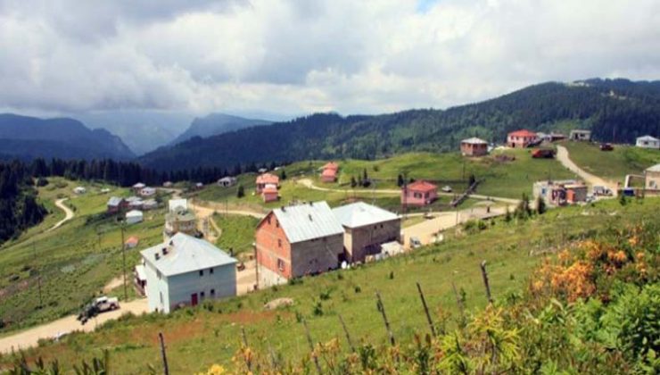 Paşakonağı Yaylası Bulancak