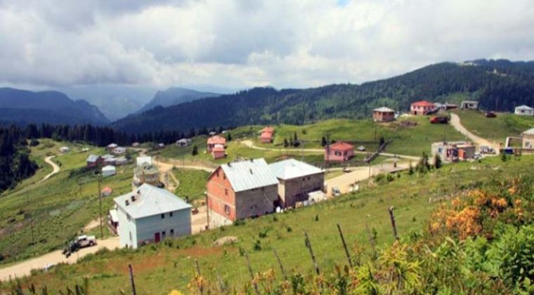 Paşakonağı Yaylası Bulancak