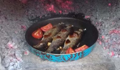 Fırında Alabalık Tarifi
