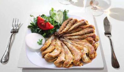 Mezgit Tava